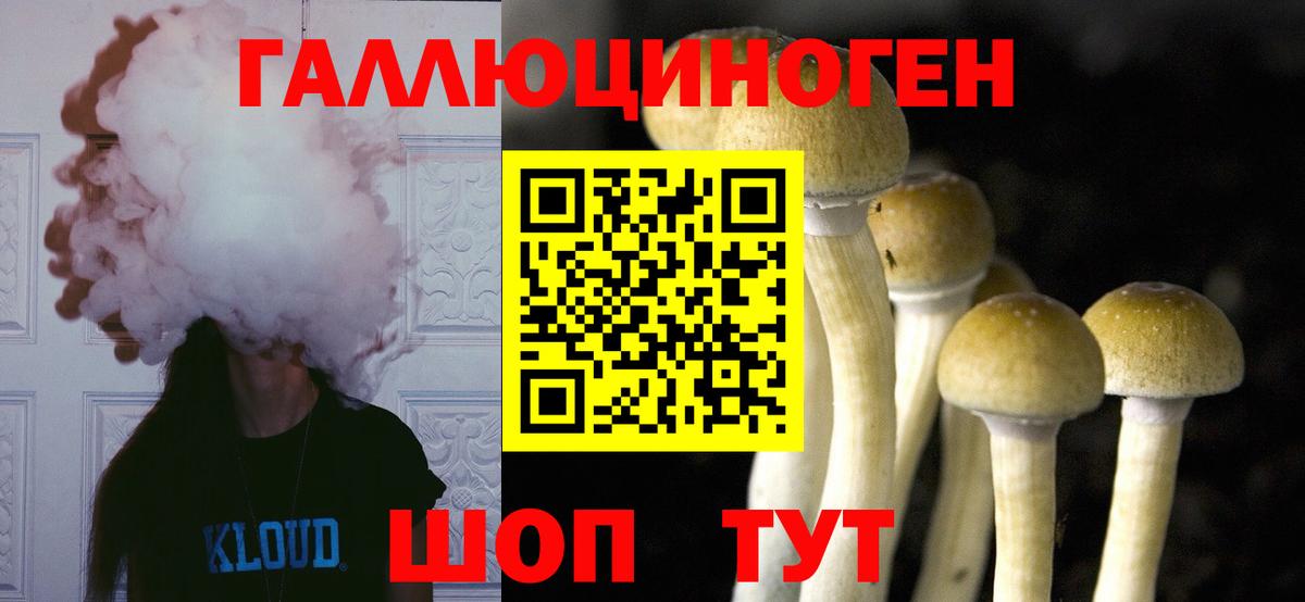 Галлюциногенные грибы Psilocybe Кимры