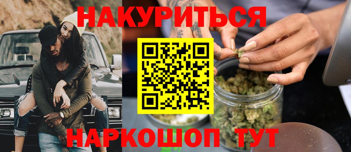 Канабис сатива Кимры
